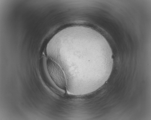 X0000081280734200702081952