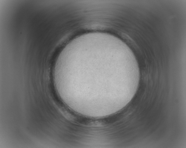 X0000081280735200702081952