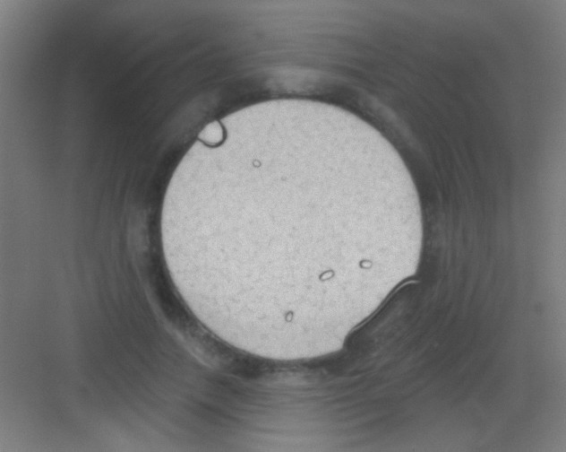 X0000081280738200702081952