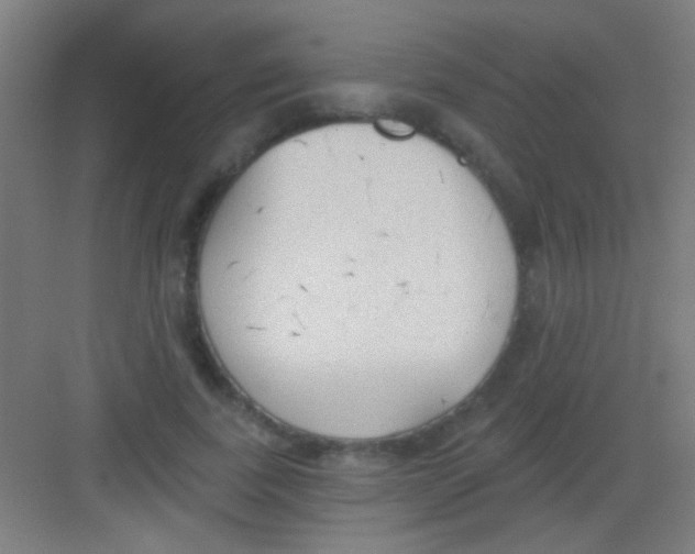 X0000081280739200702081952