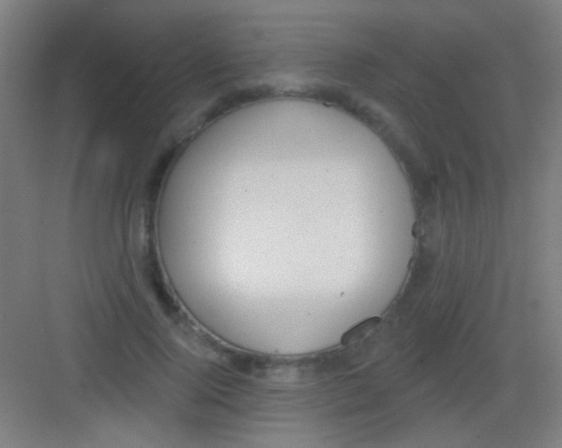 X0000081280740200702081952