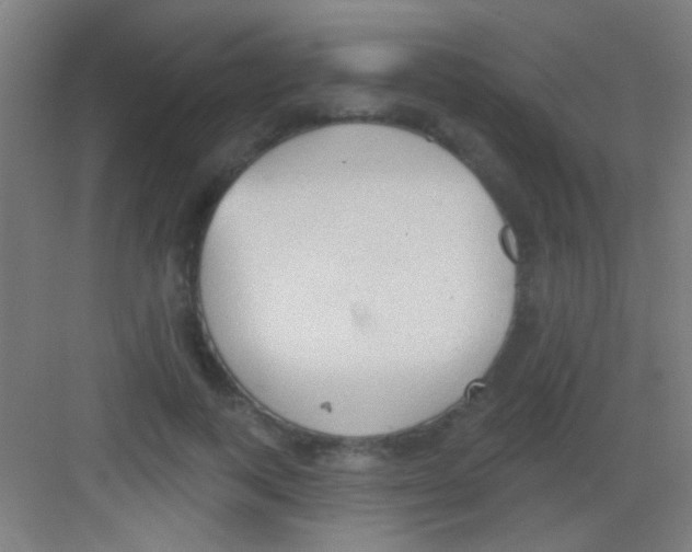 X0000081280743200702081952