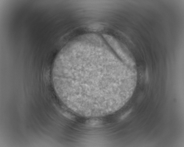 X0000081280745200702081952