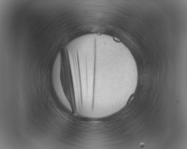 X0000081280748200702081952