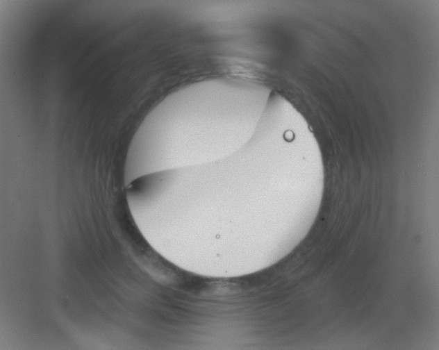 X0000081280750200702081952