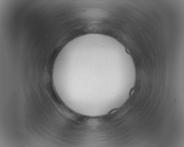 X0000081280751200702081952