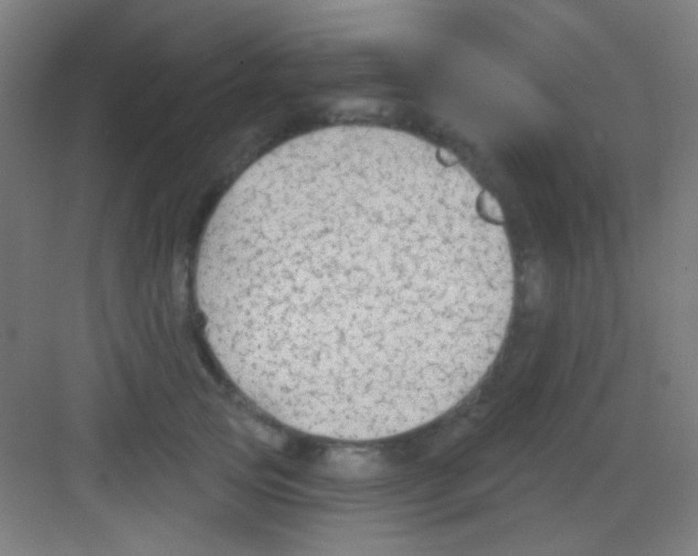 X0000081280753200702081952