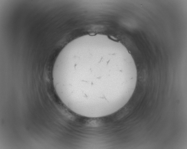 X0000081280755200702081952