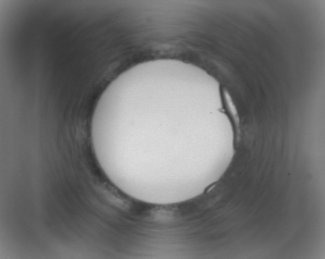 X0000081280756200702081952