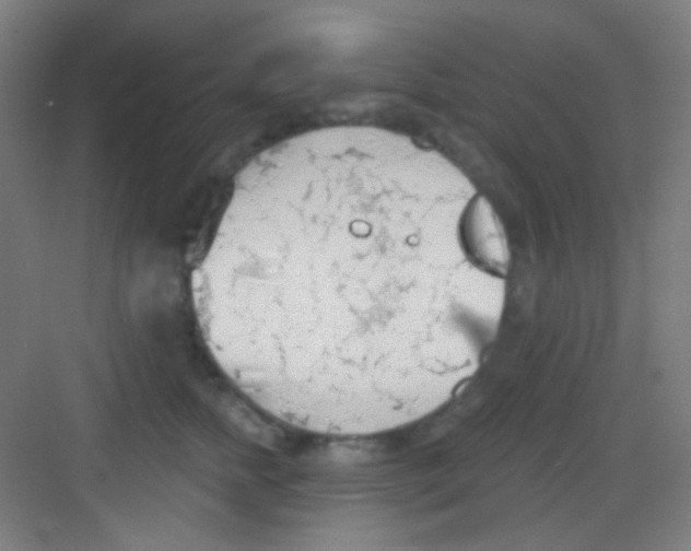 X0000081280758200702081952