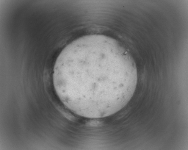 X0000081280759200702081952