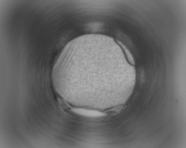 X0000081280760200702081952