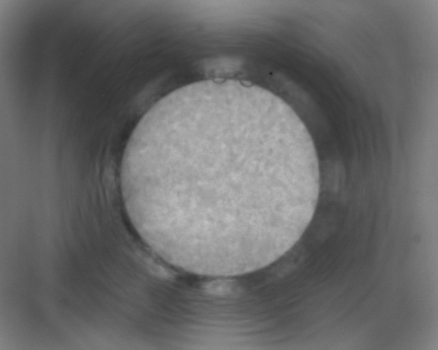 X0000081280761200702081952