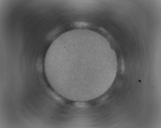 X0000081280762200702081952