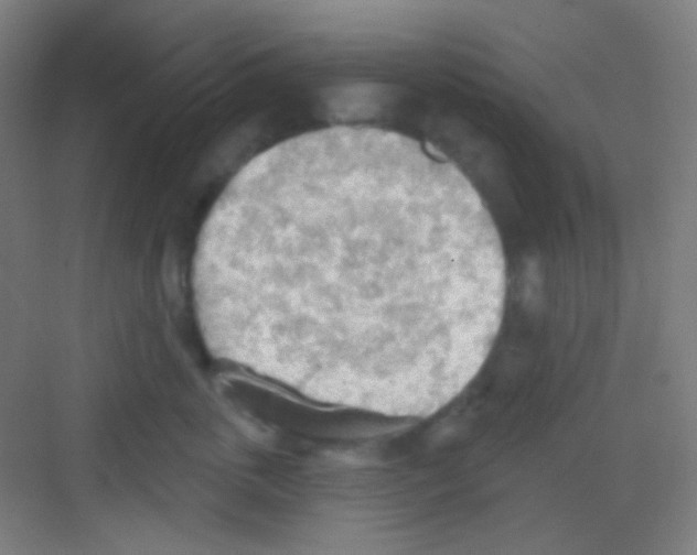 X0000081280763200702081952