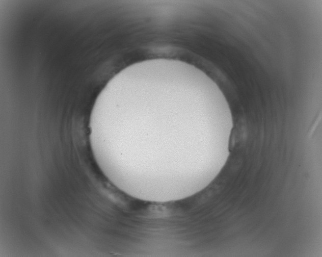 X0000081280764200702081952