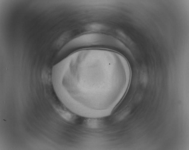 X0000081280766200702081952