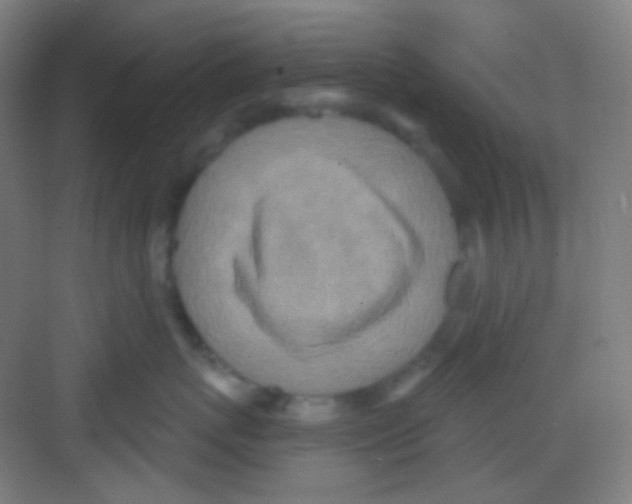 X0000081280767200702081952