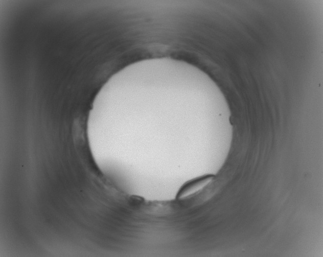 X0000081280768200702081952