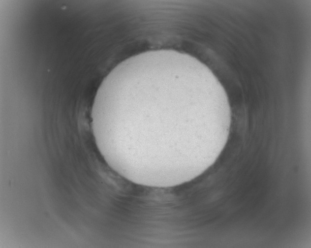 X0000081280770200702081952