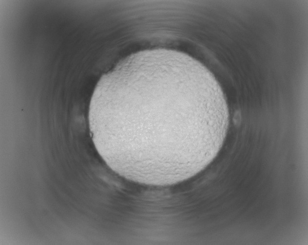 X0000081280771200702081952