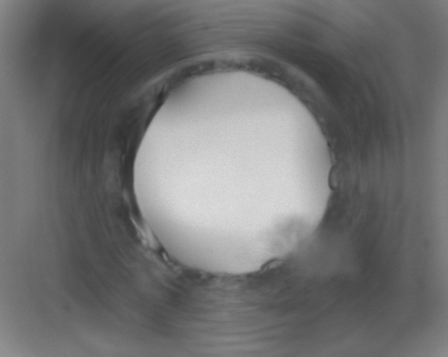 X0000081280773200702081952