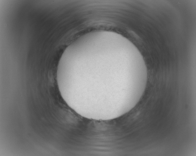 X0000081280774200702081952