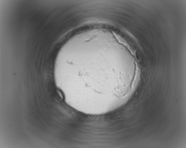 X0000081280775200702081952