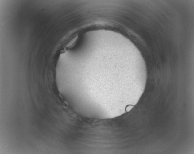 X0000081280776200702081952