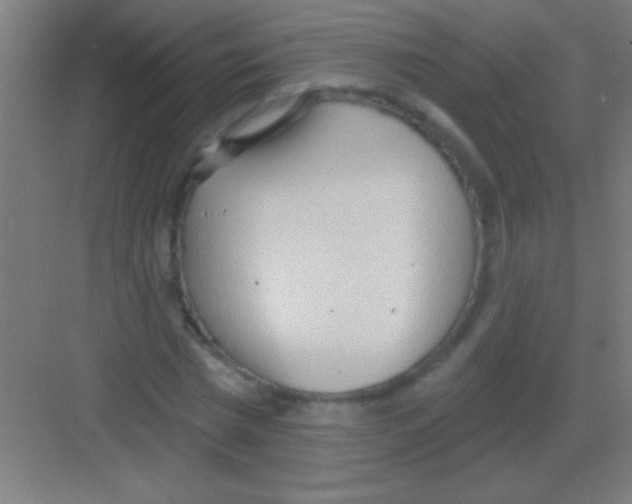 X0000081280777200702081952