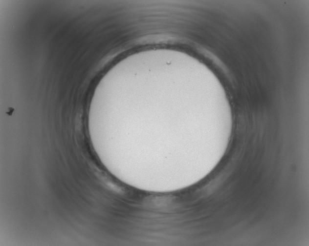 X0000081280778200702081951