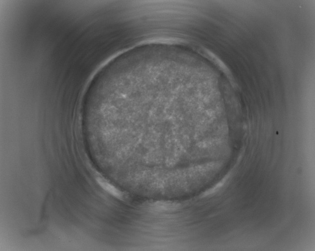 X0000081280779200702081951