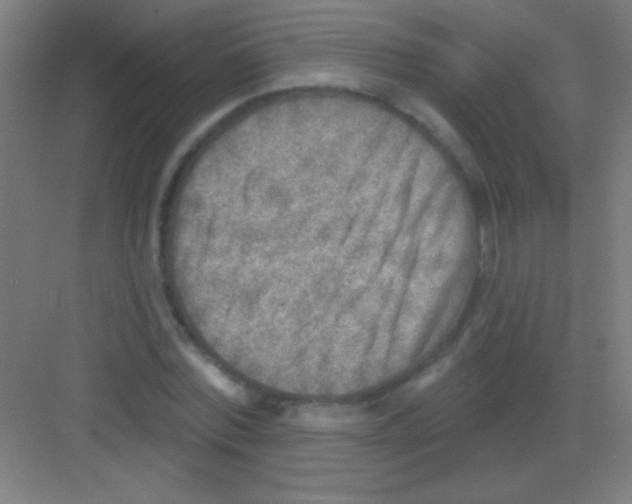 X0000081280780200702081951