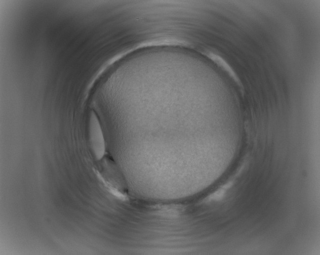 X0000081280781200702081951