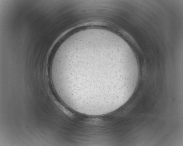 X0000081280784200702081951