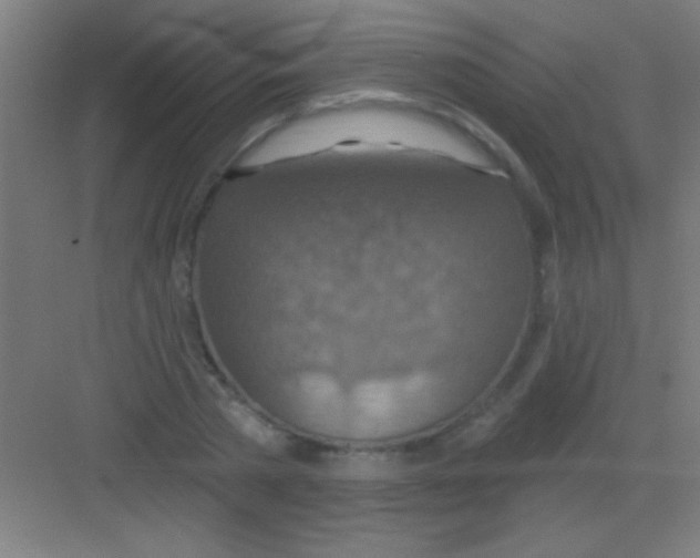 X0000081280785200702081951