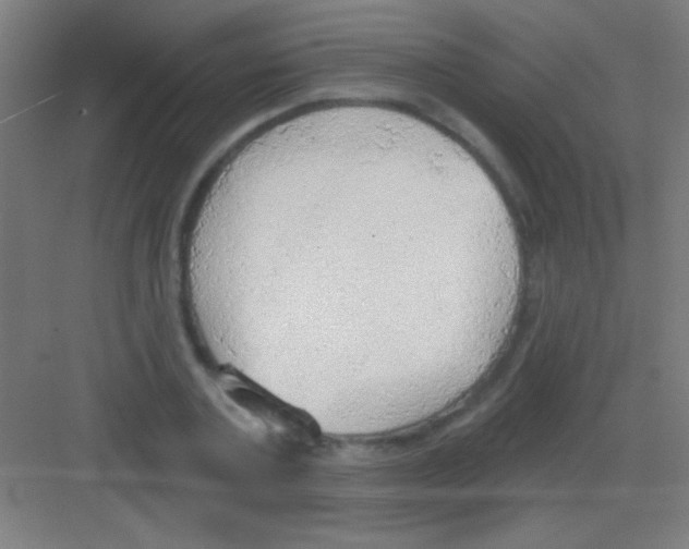 X0000081280787200702081951