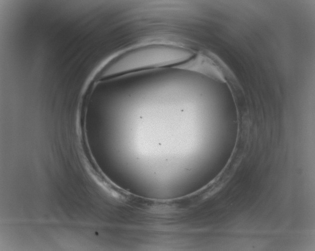 X0000081280788200702081951