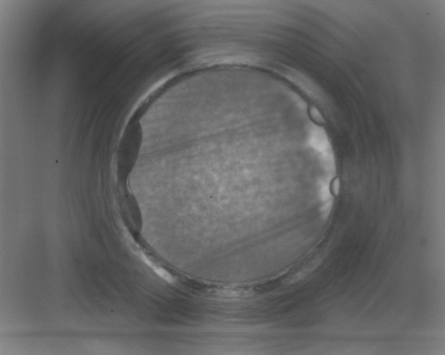 X0000081280790200702081951