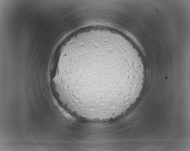 X0000081280791200702081951