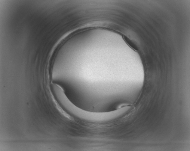 X0000081280792200702081951