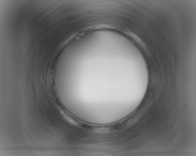 X0000081280793200702081951