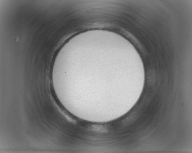 X0000081280794200702081951