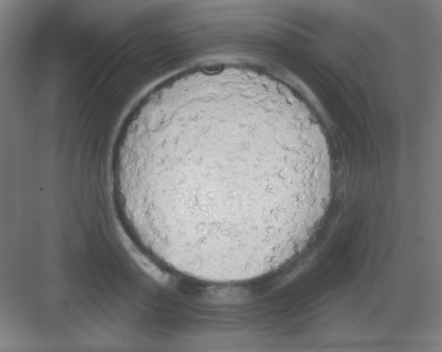 X0000081280795200702081951