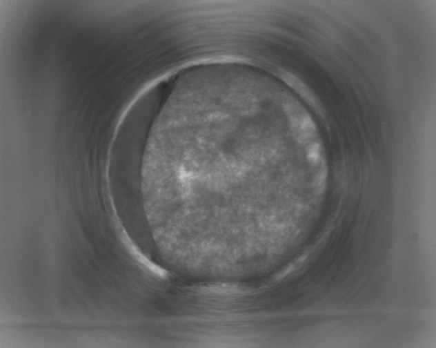 X0000081280797200702081951