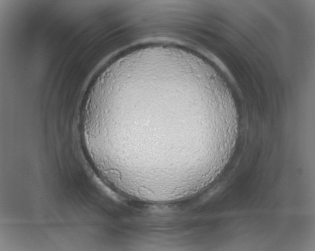 X0000081280799200702081951