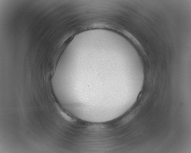 X0000081280801200702081951