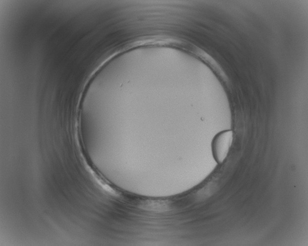 X0000081280802200702081951