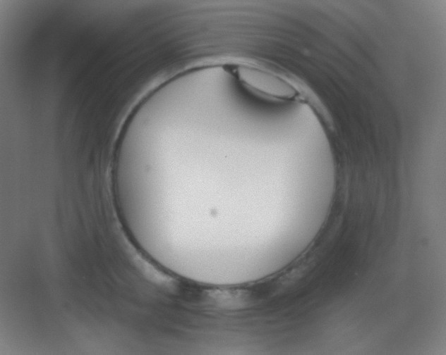 X0000081280805200702081951