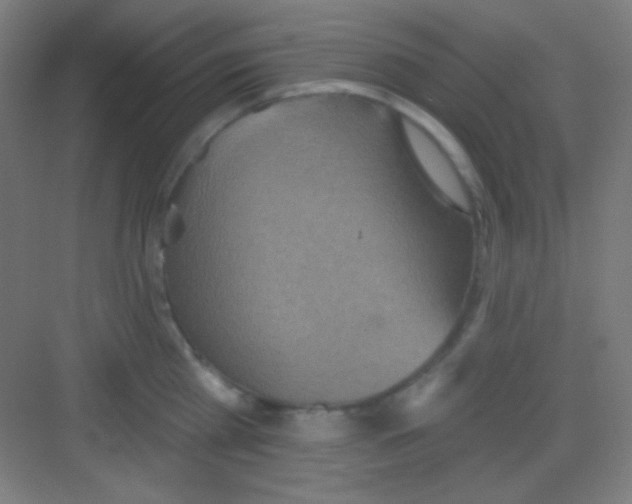 X0000081280809200702081951